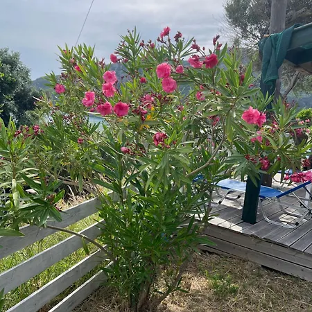 Hamre 公寓 圣佐治欧斯帕贡