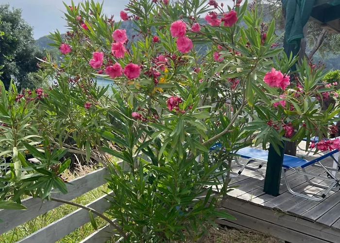 Hamre Appartement Agios Georgios Pagon